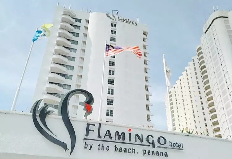 Flamingo